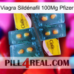 Viagra Sildénafil 100Mg Pfizer cialis5